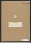 Coscinodiscus lineatus Ehr. (de-Toni-Nr.: Genus 202, Species 4900) Zeichnungen Sammlung Grunow Nr. 8660 (NHMW-BOT-W0378066)